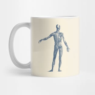 Human Muscular System - Vintage Anatomy Mug